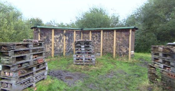 World’s largest bug hotel