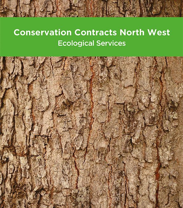 New Brochure  Ecological Services