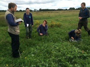 Habitat surveys at Martin Mere