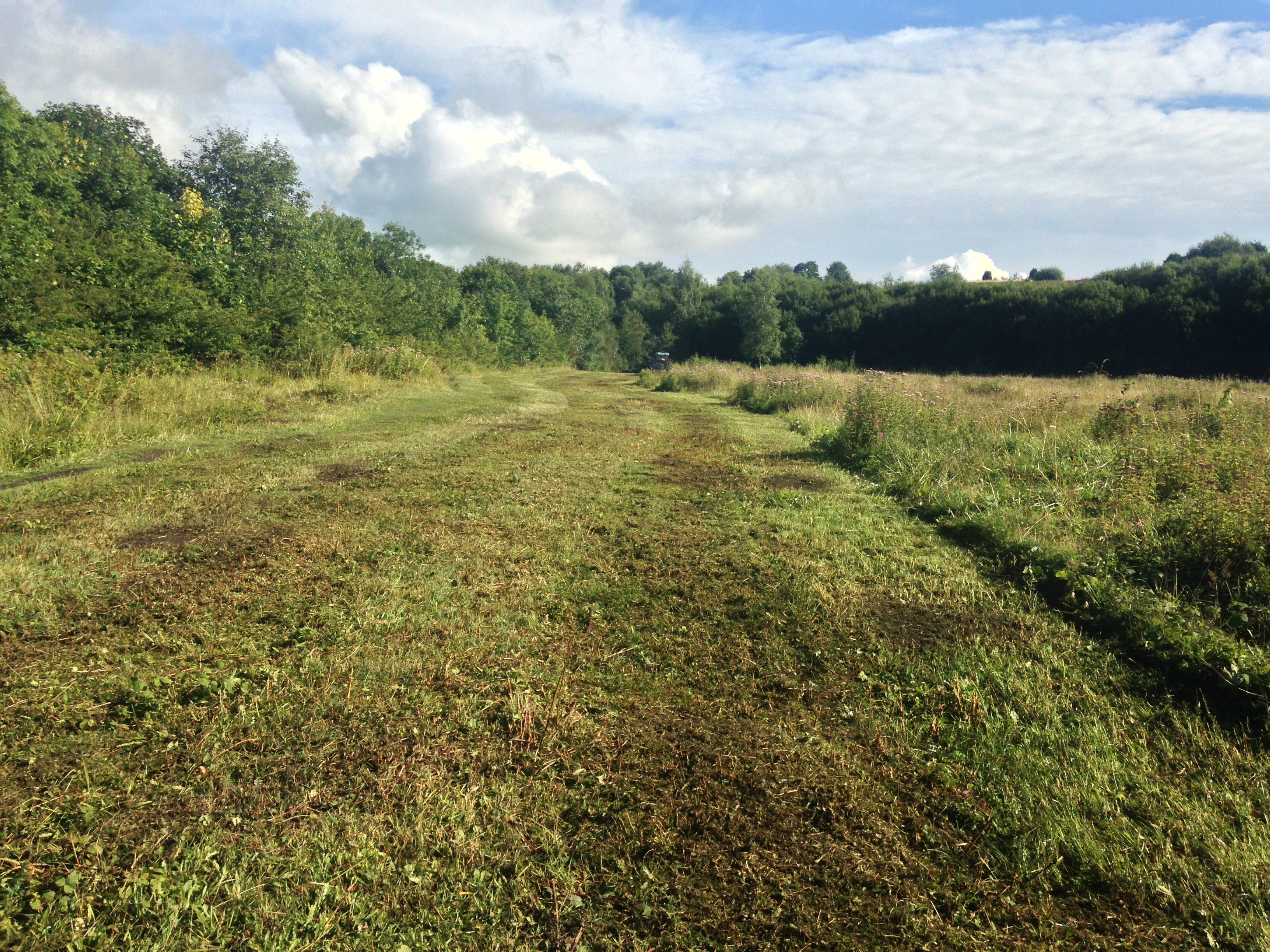 Grass Restoration Nob End Bolton Re Instatement Ccnw Ltd