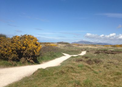 North Walney Island Reserve – Access Improvement Works