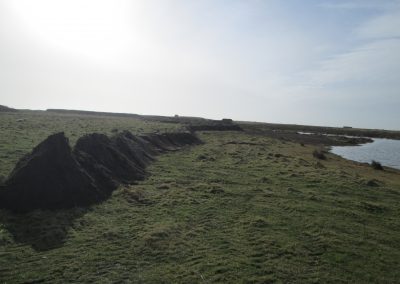 South Walney Island Reserve – Habitat Management