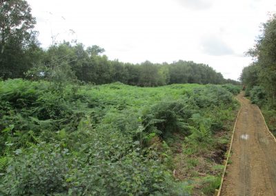 Little Woolden Moss, Culcheth – Vegetation Clearance