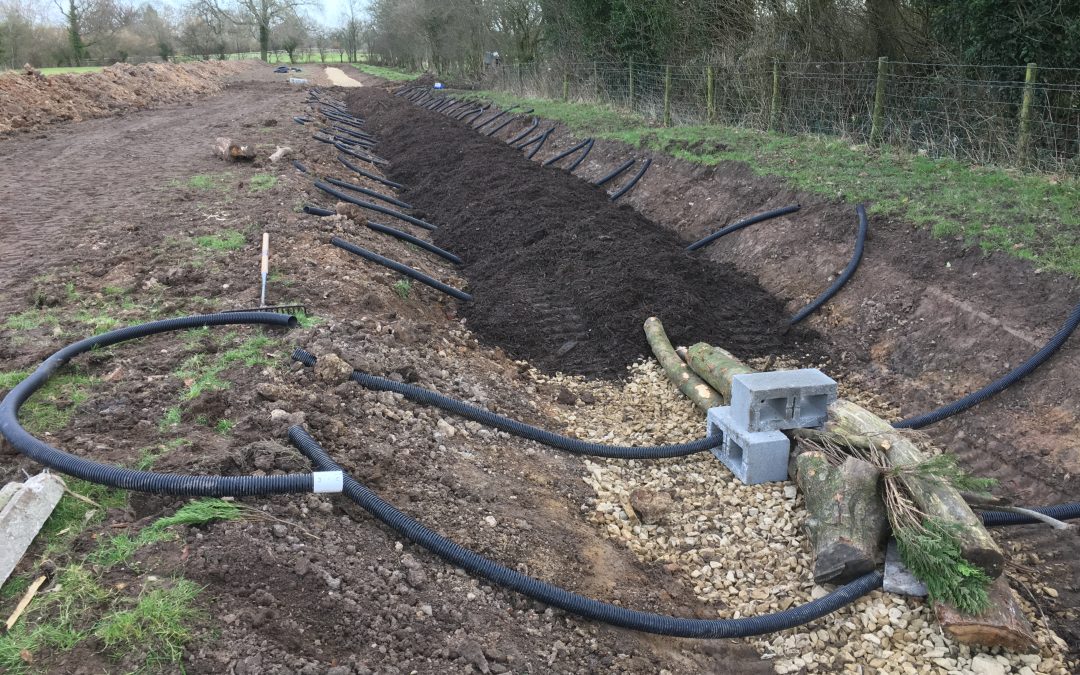 Cottam Hall, Preston – Habitat Bank with Hibernaculum