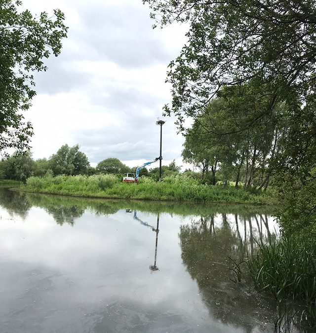 Pennington Flash, Wigan – Osprey Nest and Pole