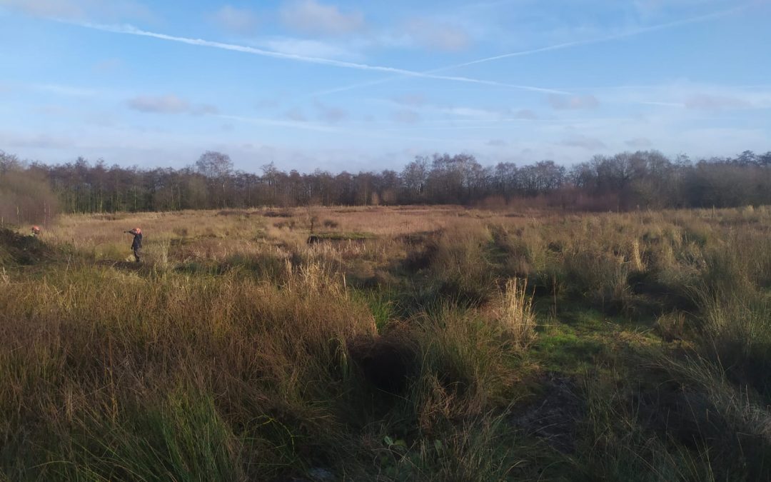 Three Sisters, Wigan – Wetland Enhancement