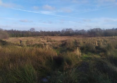 Three Sisters, Wigan – Wetland Enhancement