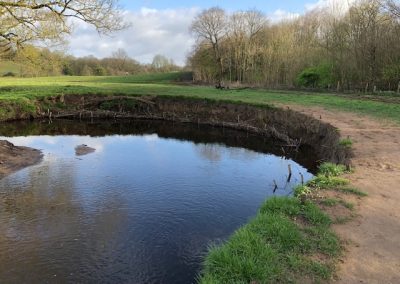 Yarrow Valley Country Park, Chorley – Habitat Improvements Phase 2