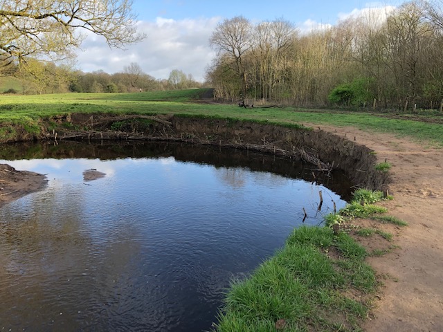 Yarrow Valley Country Park, Chorley – Habitat Improvements Phase 2