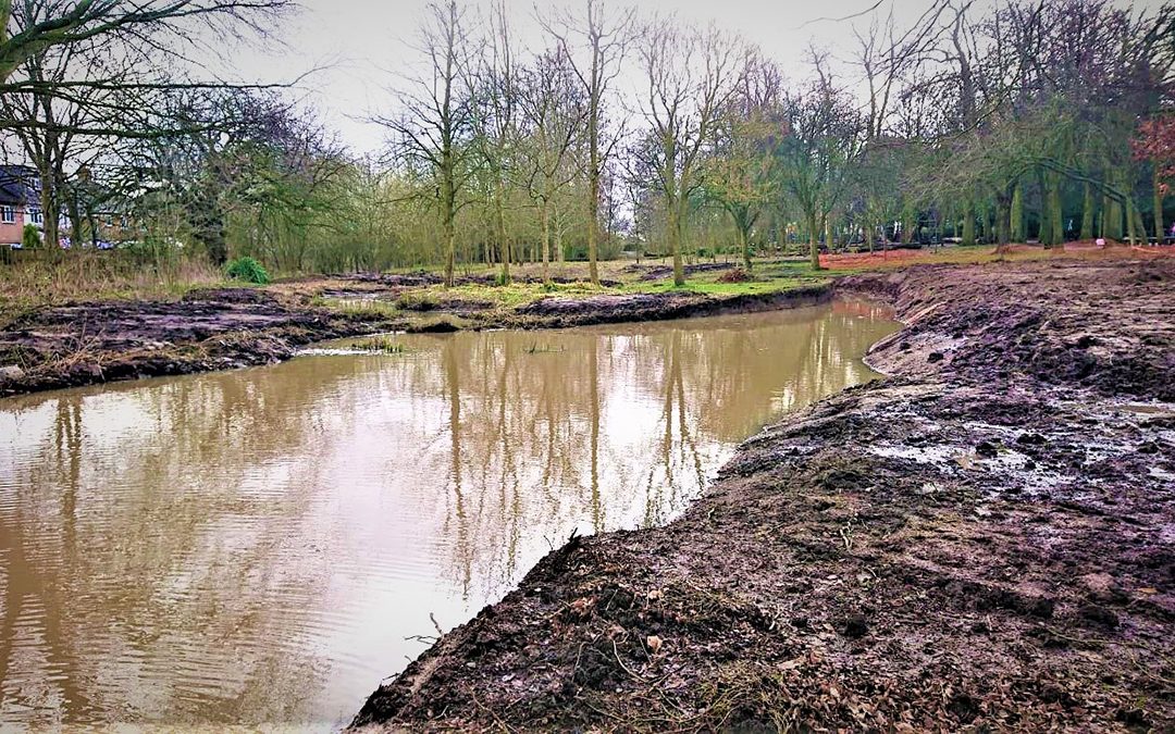 Court Hey Wetland Project, Knowsley