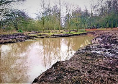 Court Hey Wetland Project, Knowsley