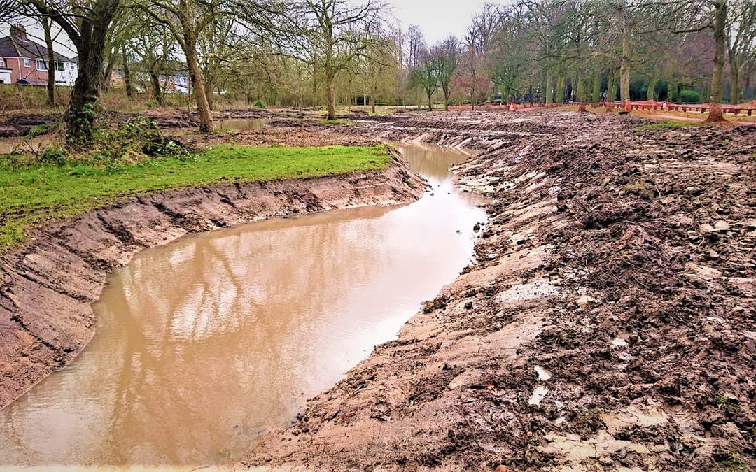 Court Hey Wetland Project, Knowsley