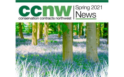 Newsletter Spring 2021