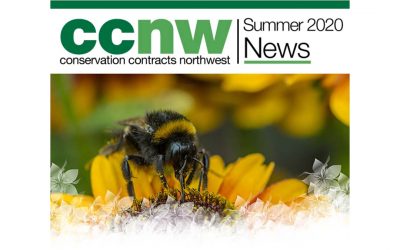 Newsletter Summer 2020