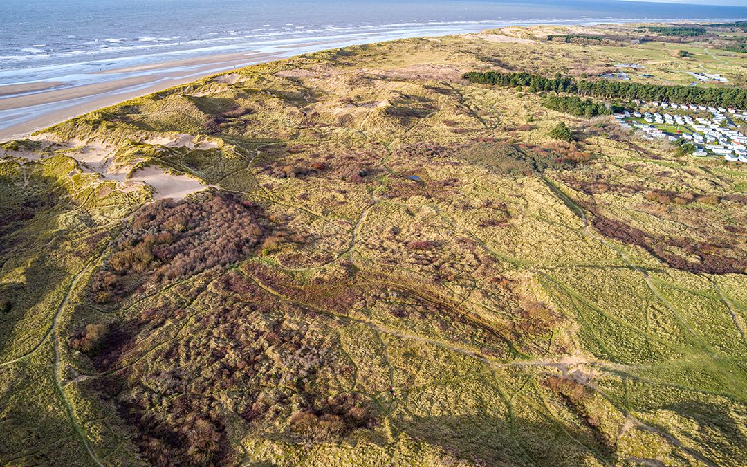 Dynamic Dunescapes DuneLIFE, Formby