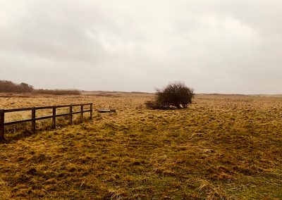 Cabin Hill National Nature Reserve Dune Grassland Management – Area One, Formby