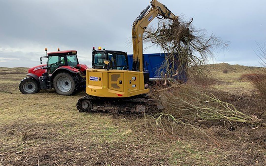 Cabin Hill National Nature Reserve Scrub Removal, Formby