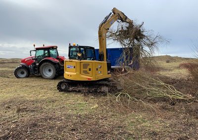 Cabin Hill National Nature Reserve Scrub Removal, Formby