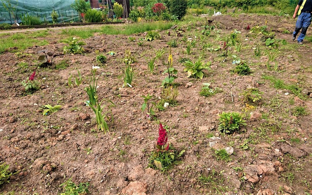 Rain Garden Community Classroom, Tawd Valley Allotments, Skelmersdale