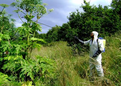 Invasive Species Remediation, Carrington Estate