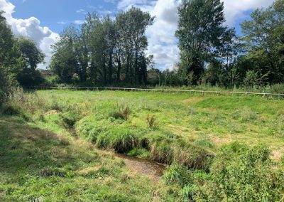 Natural Flood Management, Carr Brook Linear Park