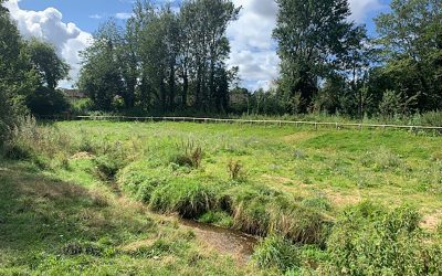 Carr Brook Linear Park,  Natural Flood Management