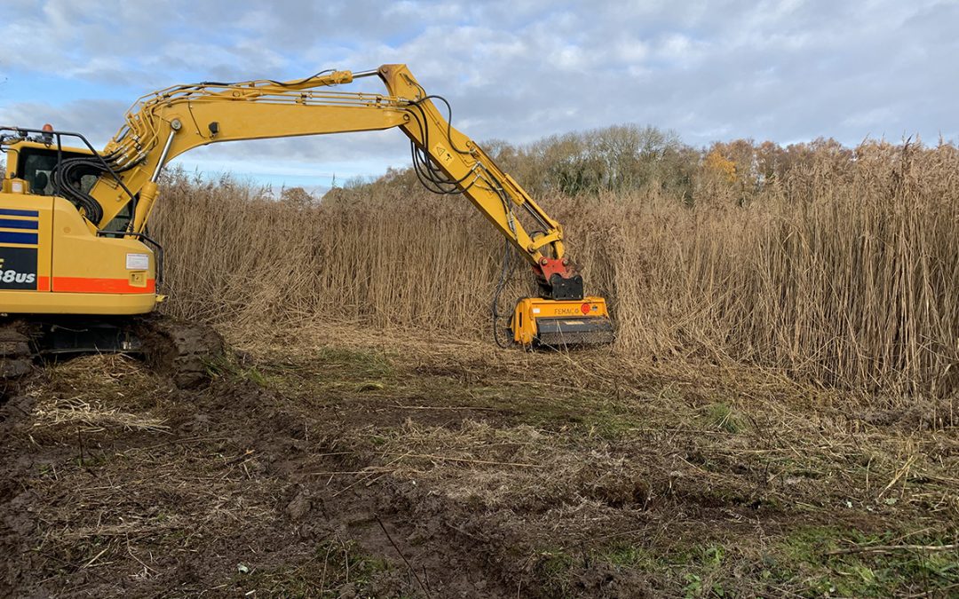 Reed Bank Enhancement, Chester Zoo