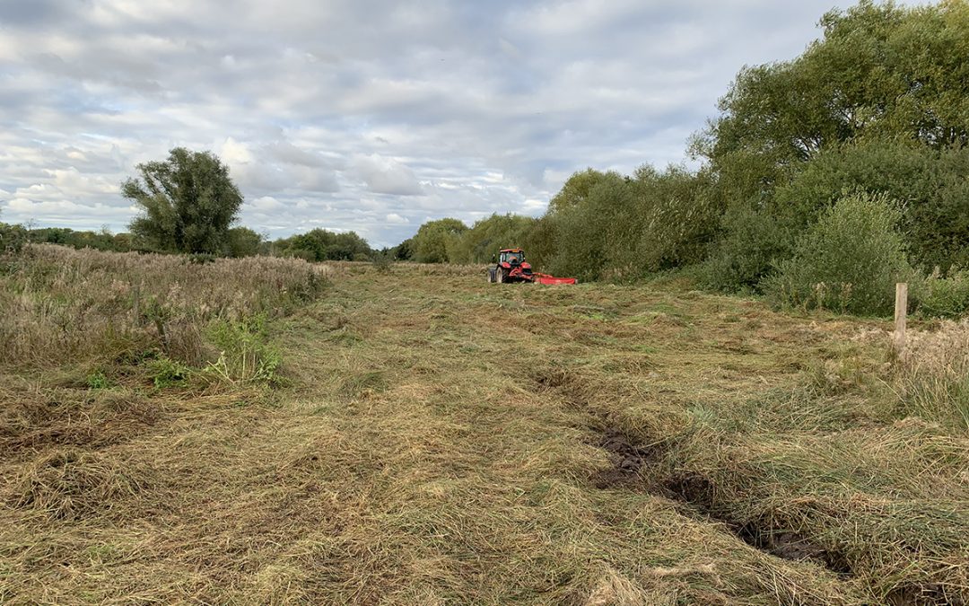 Grassland Management, Chester Zoo