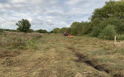 Chester Zoo, Grassland Management