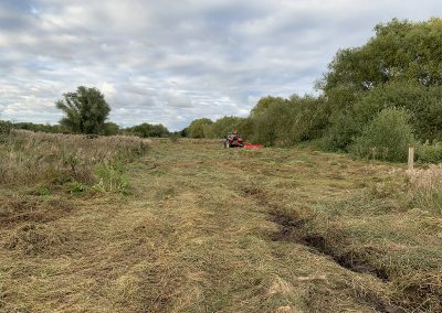 Grassland Management, Chester Zoo