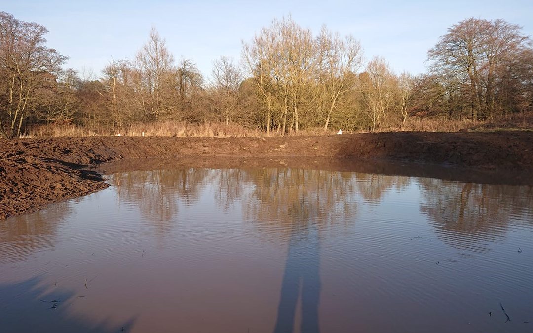 Pond Restoration & Creation, Happy Valley LNR