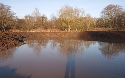 Happy Valley LNR, Pond Restoration & Creation