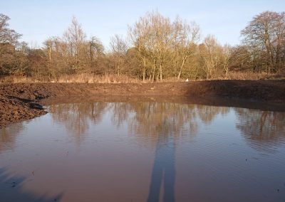 Pond Restoration & Creation, Happy Valley LNR