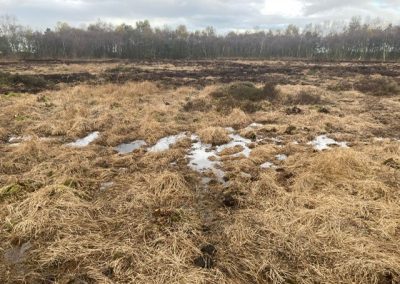 Rewetting and Restoration Works, Astley & Beford Moss