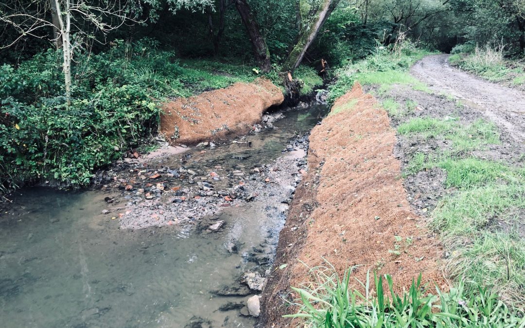 Moston Brook Restoration Project Phase 1